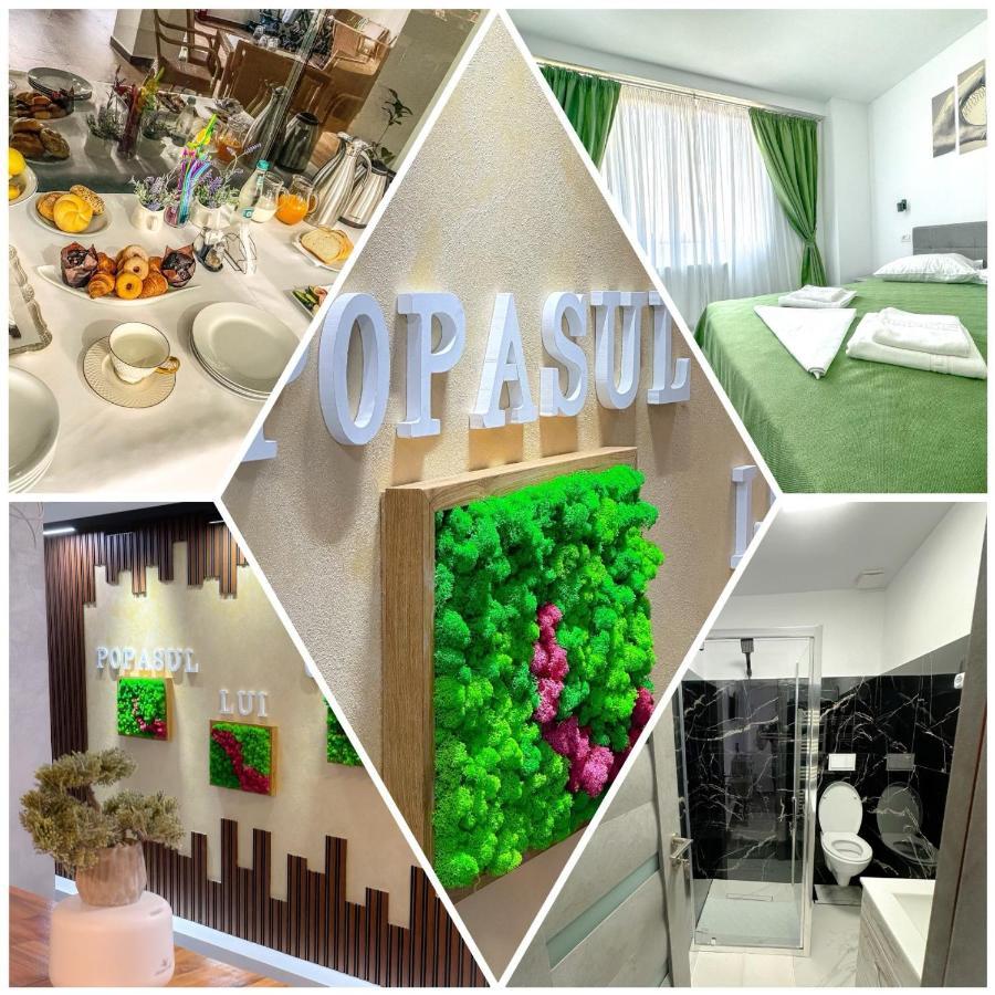 Popasul Lui Gicuta Bed & Breakfast คูร์ตา เด อาร์เจช ภายนอก รูปภาพ